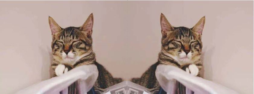 Overview of Essential OpenCV Knowledge for Computer Vision