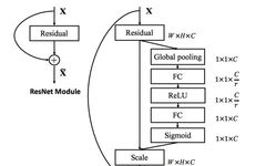 Image Classification Network SE_ResNeXt Using PaddleFluid and TensorFlow