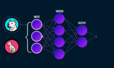 XNN: Opening The Black Box Of Neural Networks