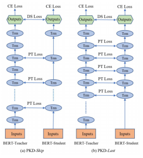 Exclusive: BERT Model Compression Based on Knowledge Distillation