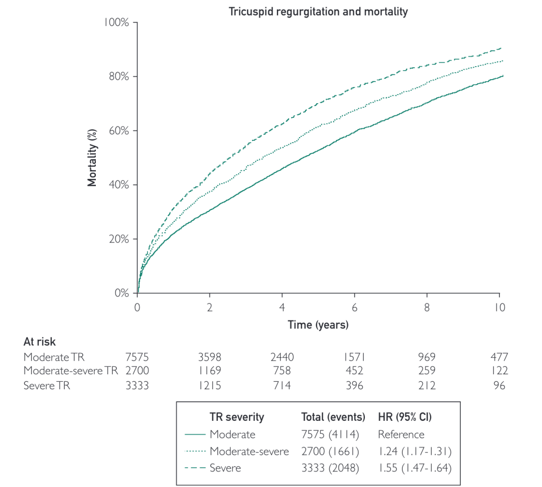 Research Approach: Building and Validating the TRIO Scoring Model
