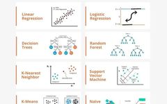 In-Depth Analysis of Major Machine Learning Models