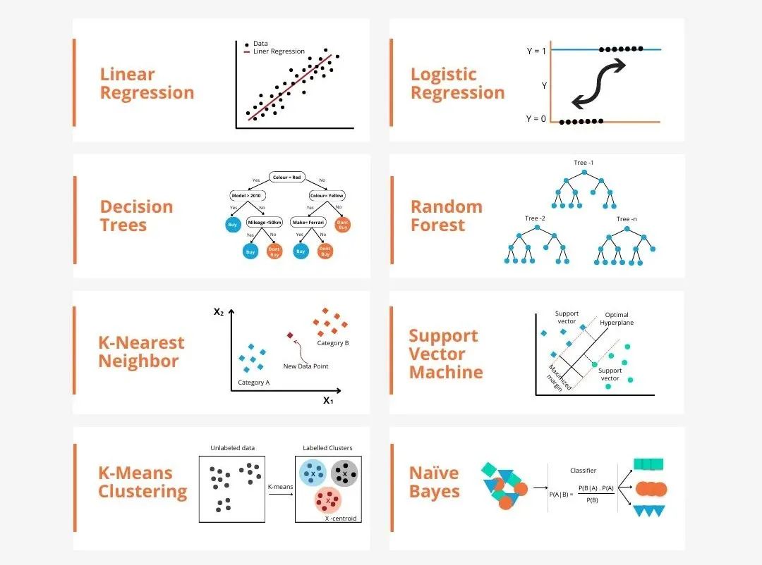 In-Depth Analysis of Major Machine Learning Models