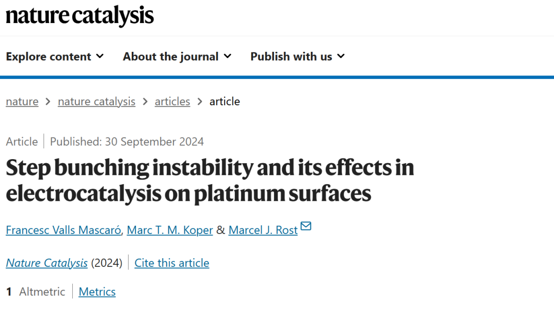 This Nature Catalysis Focuses on Electrocatalytic Active Site Structure!