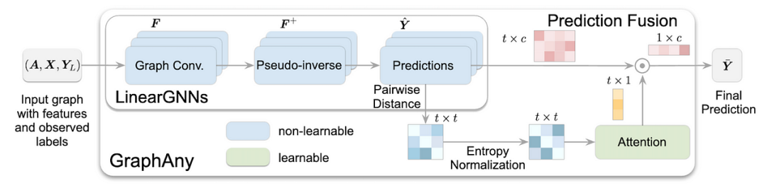 Foundation Models of Graphs and Geometric Deep Learning