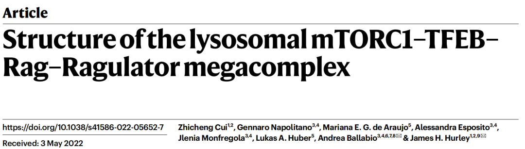 Nature | Analysis of mTORC1-TFEB-Rag-Ragulator Complex Structure