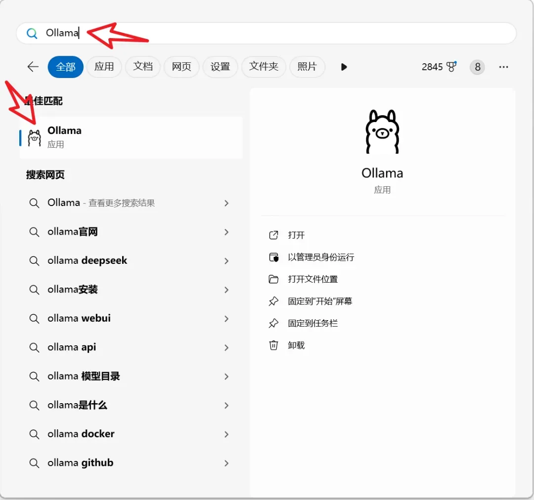 Deploying DeepSeek Locally: A Step-by-Step Guide