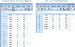 SPSS Operation: Log-Linear Model Tutorial