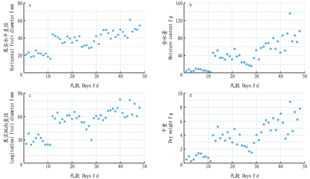 Prediction Model for Greenhouse Tomato Growth Based on KNN-SVM Algorithm