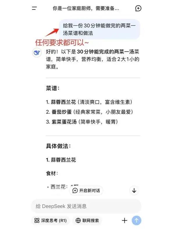 DeepSeek Simplified User Guide