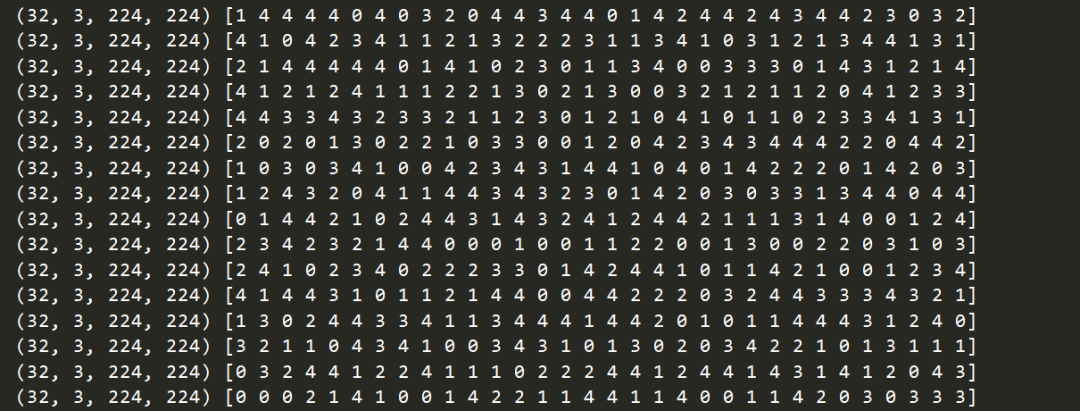 PyTorch Data Import Mechanism and Standardized Code Template