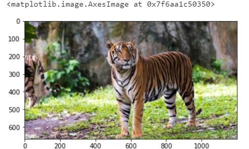 Introduction to Basic Tasks in Computer Vision