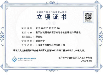 Best Practices in Medical Education Digitalization Based on Knowledge Graphs and Virtual Simulation