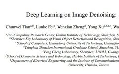 Comprehensive Overview of Deep Learning in Image Denoising