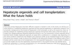Organoids and Cell Transplantation: Future Directions