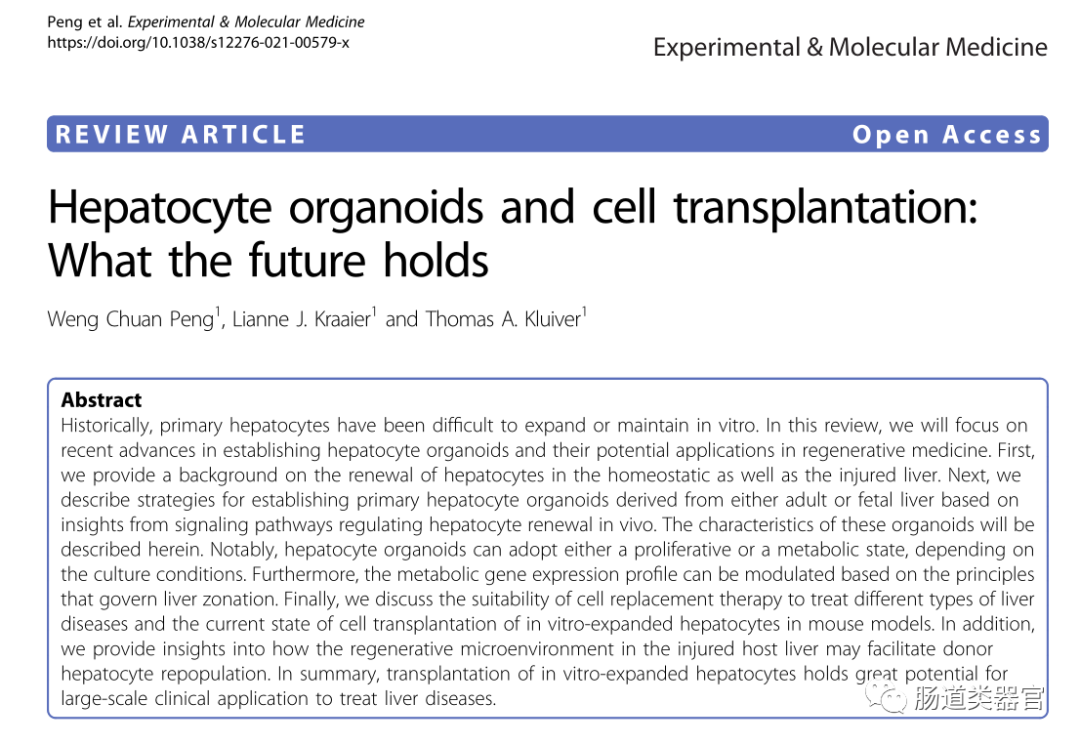 Organoids and Cell Transplantation: Future Directions