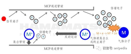 The Spring of Miniature Mass Spectrometers: Hamamatsu's Triode MCP Solves Low Vacuum Challenges