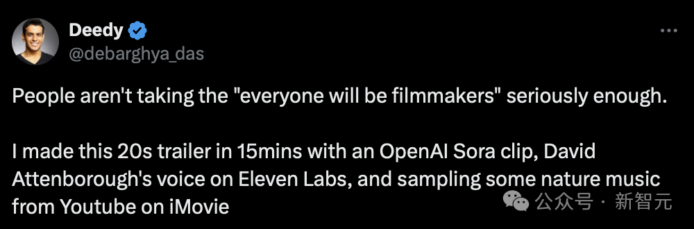 Exploring OpenAI's Sora Video Model: A Technical Report