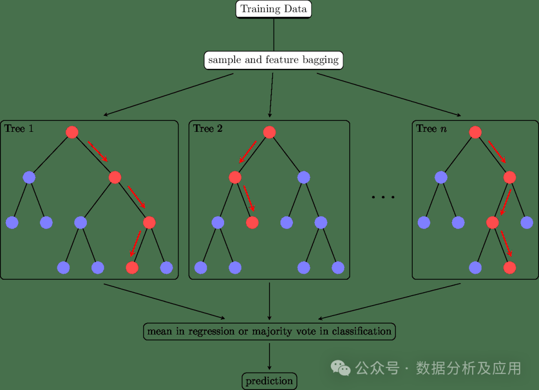 In-Depth Analysis of Major Machine Learning Models