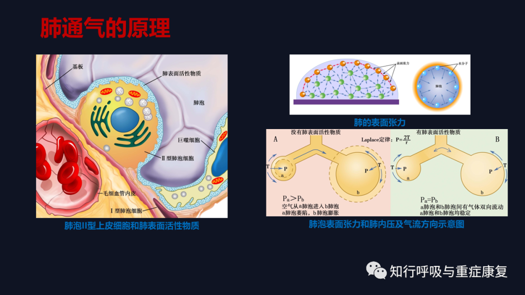 Airway Clearance Techniques - Physiological Basis