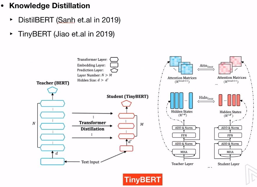 A Detailed Explanation from Transformer to BERT Model