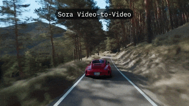 Exploring OpenAI's Sora Video Model: A Technical Report