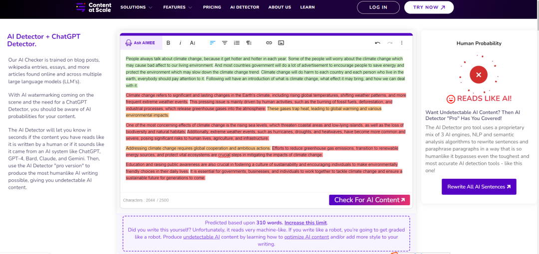 AI Literacy and AI Detectors