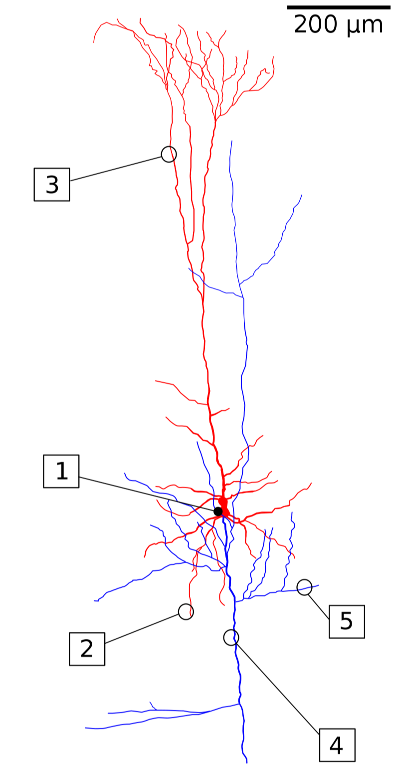 What Is Generative AI and Is It a Pathway to AGI?