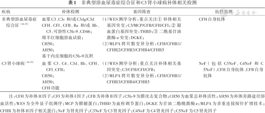 Expert Consensus on Diagnosis and Treatment of Complement-Related Kidney Disease
