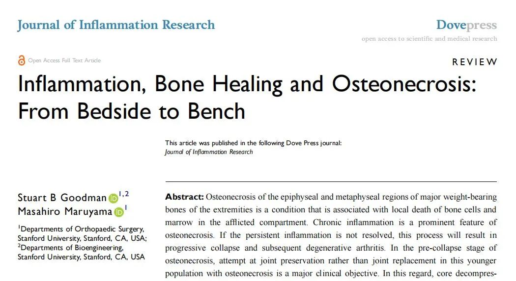 Inflammation, Bone Healing, and Osteonecrosis: From Clinic to Laboratory
