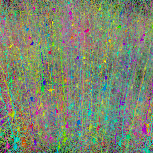 What Is Generative AI and Is It a Pathway to AGI?