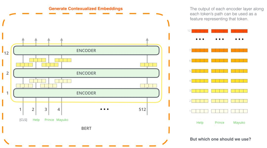 Understanding BERT: A Beginner's Guide to Deep Learning