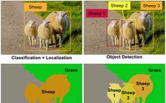 Detailed Explanation of Detection and Segmentation in Computer Vision