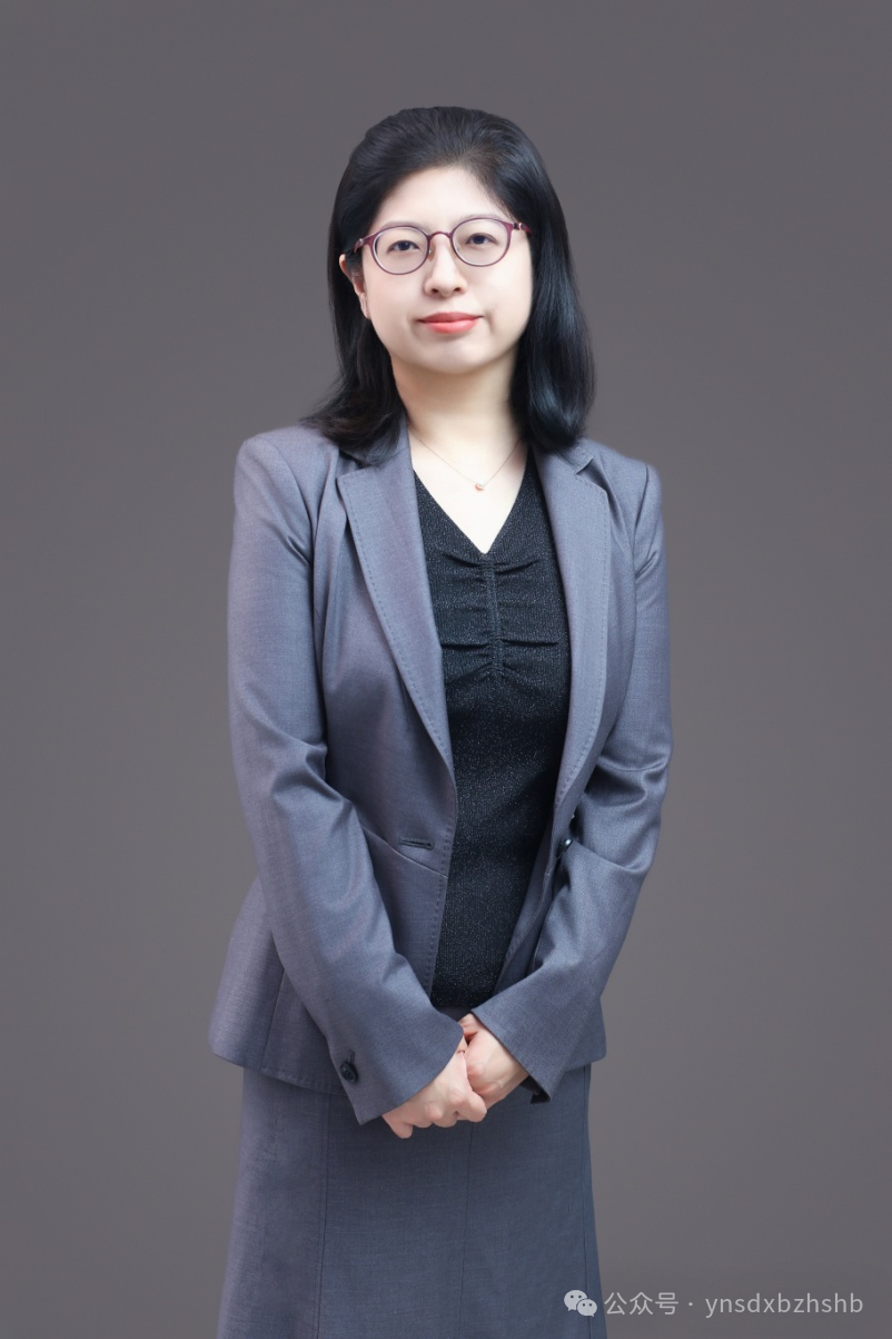 Challenges And Reflections On Machine Translation In The Digital Age