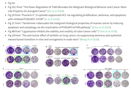 Understanding Image Misconduct in Scientific Papers