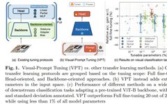 New Visual Prompt Method for Transformer Optimization