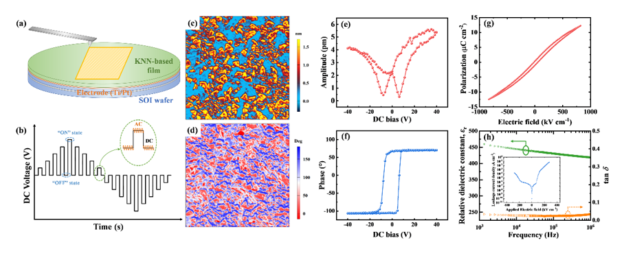 Application of Lead-Free Ferroelectric Films in pMUT