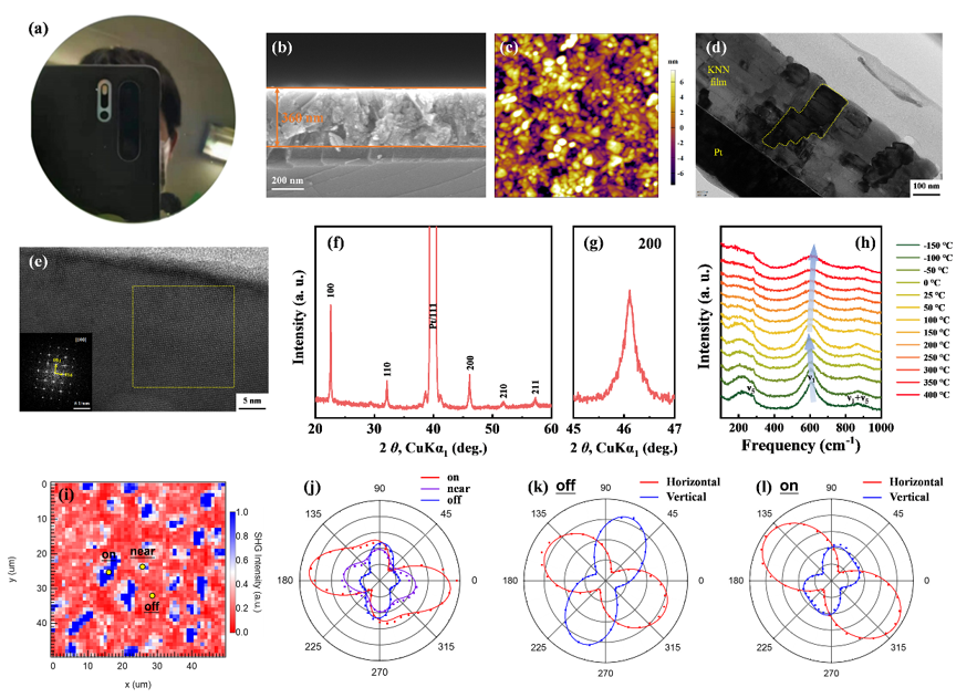 Application of Lead-Free Ferroelectric Films in pMUT