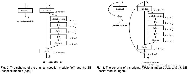Understanding Attention Mechanisms in CV