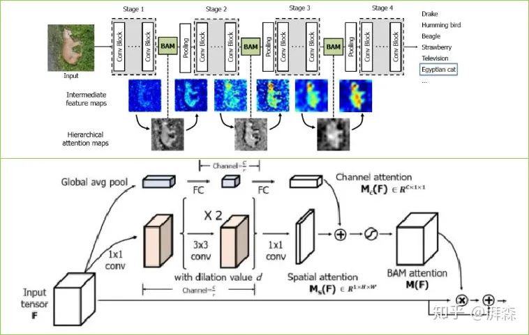 Rethinking Attention Mechanism from the Frequency Domain Perspective