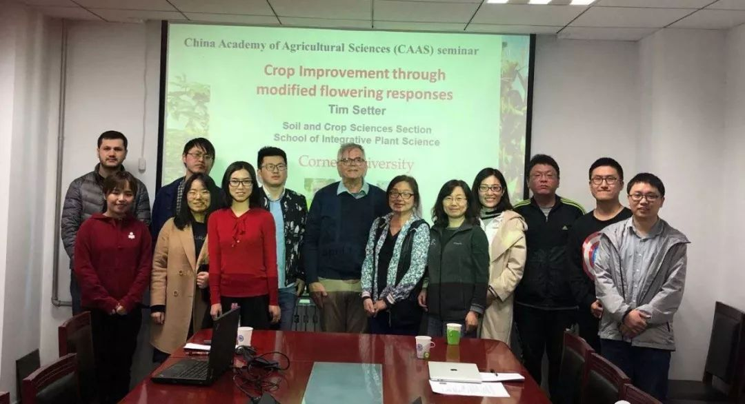 Nutrient Expert System Enhances Radish Nutrient Efficiency in North China