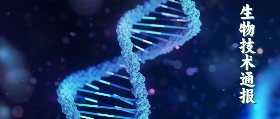 Study on a Novel Mini Genome Editing System Based on Csy4 and MCP