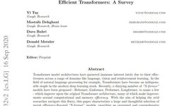 Overview of 17 Efficient Variants of Transformer Models