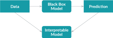 Summary of Explainable Algorithms for Machine Learning Models