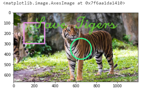 Introduction to Basic Tasks in Computer Vision