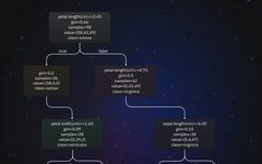 Visualizing Machine Learning Models: Techniques and Best Practices