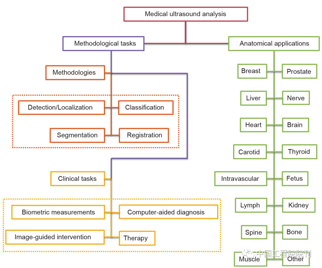 Deep Learning Applications in Medical Ultrasound Image Analysis