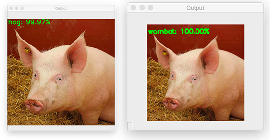 Implementing Adversarial Images and Attacks with Keras and TensorFlow