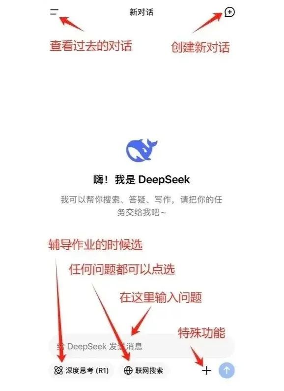 DeepSeek Simplified User Guide