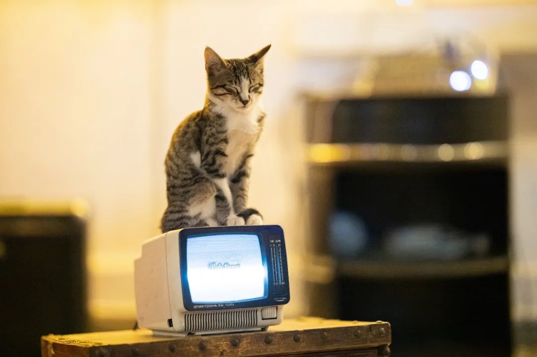 A Review of Computer Vision Development in the Last Decade and Future Directions